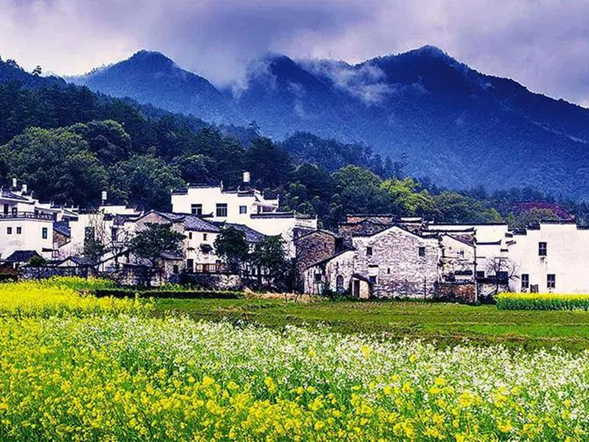 人民日?qǐng)?bào) | 18個(gè)省委書記談鄉(xiāng)村振興